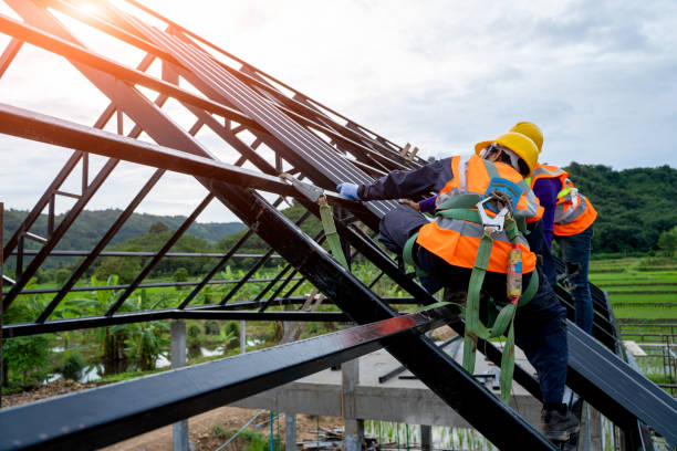 Best Roof Gutter Cleaning  in Minerva Park, OH