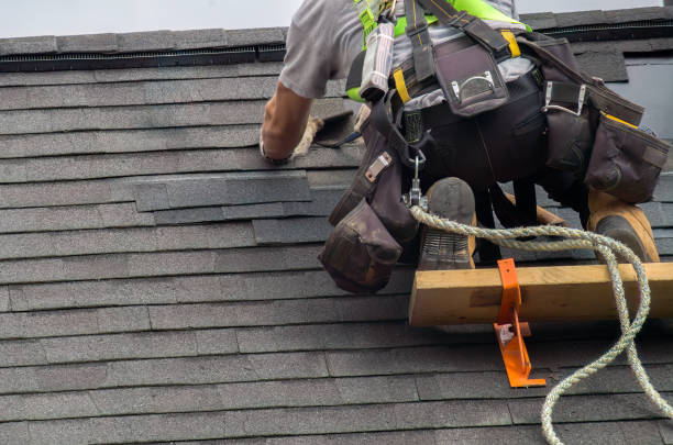 Best Storm Damage Roof Repair  in Minerva Park, OH