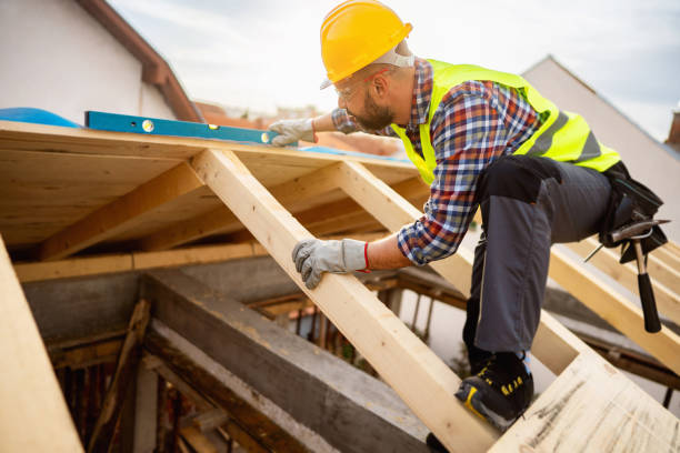 Roof Gutter Cleaning in Minerva Park, OH
