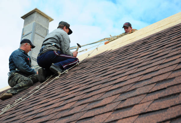 Best Roof Maintenance Services  in Minerva Park, OH